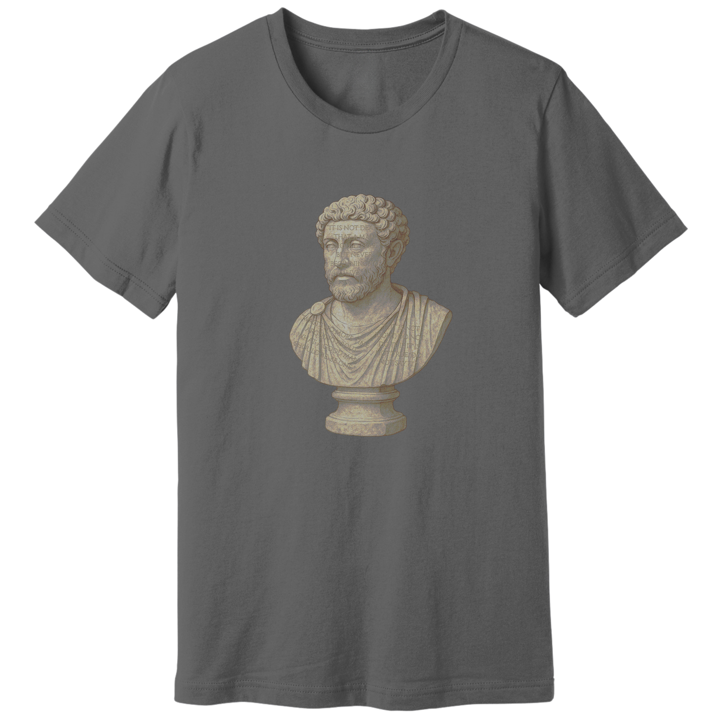 Marcus Aurelius bust T-shirt